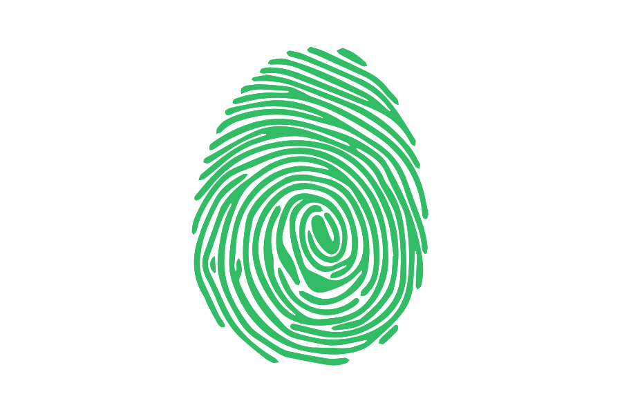 Biometric Verification